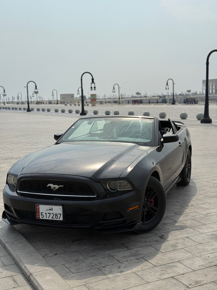 Ford Mousting  - 2