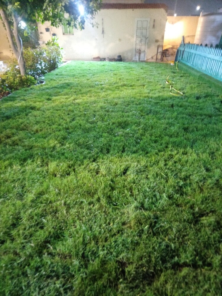 تنسيق حدايق - 3