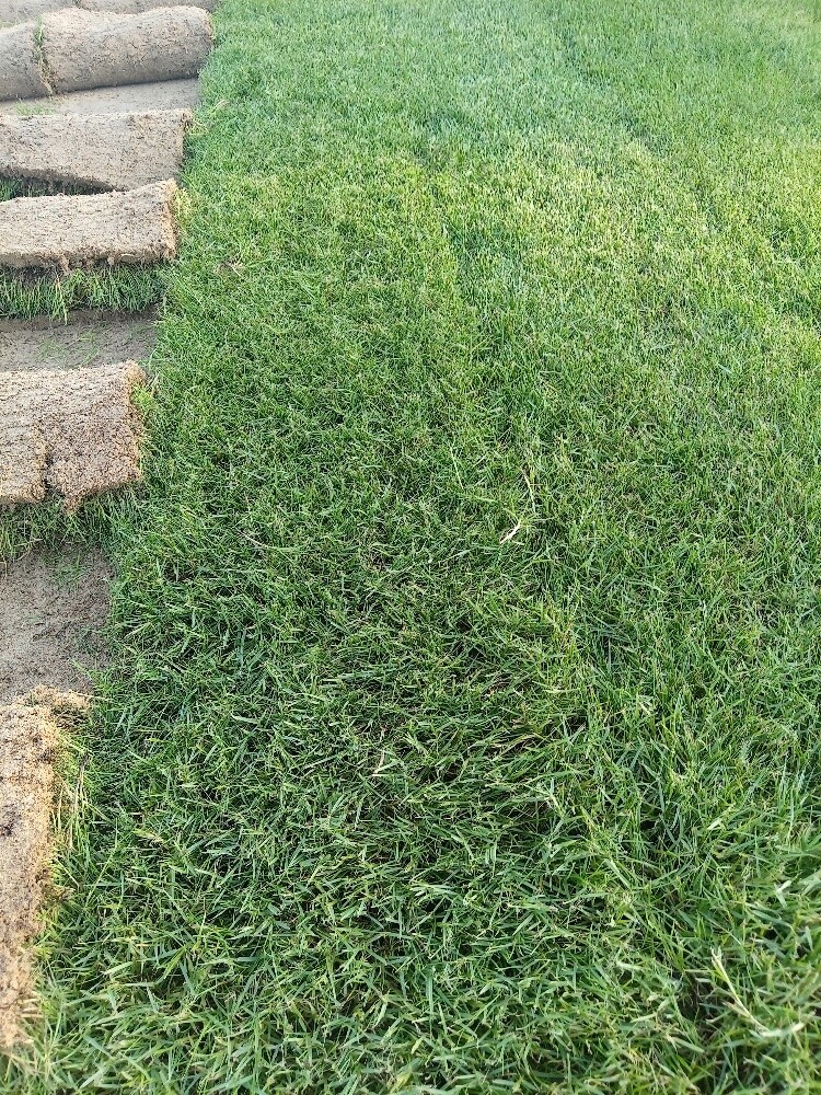 تنسيق حدايق - 1