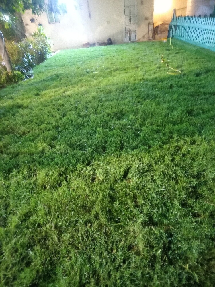تنسيق حدايق - 4