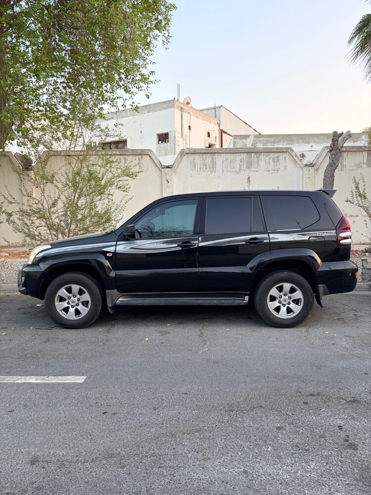 Prado 2008 - 5
