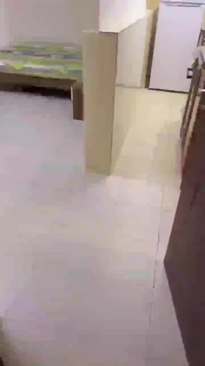 ستوديو نظامى بالوكره مفروش ب٢٠٠٠ - 1