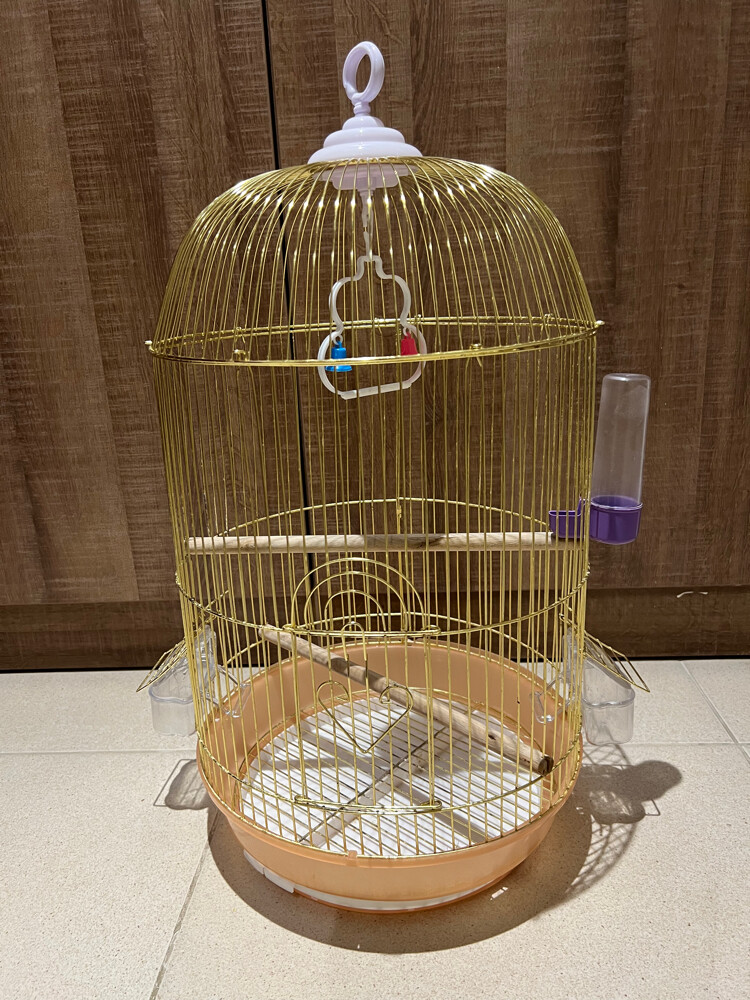 big golden cage  - 1