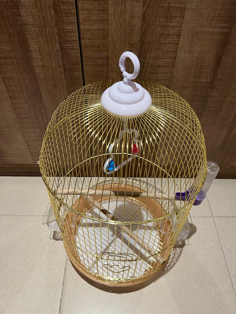 big golden cage  - 2