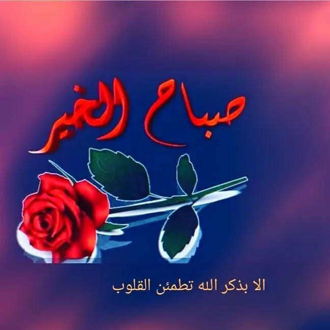 مطلوب ممول لعمل محطه غسيل سيارت - 1