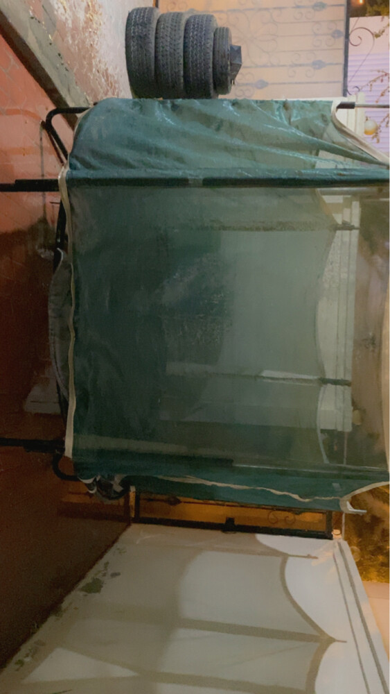 نطاطيه - 2
