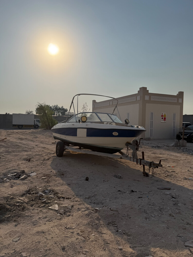 بيلاينر ٢٠١٤ - 3
