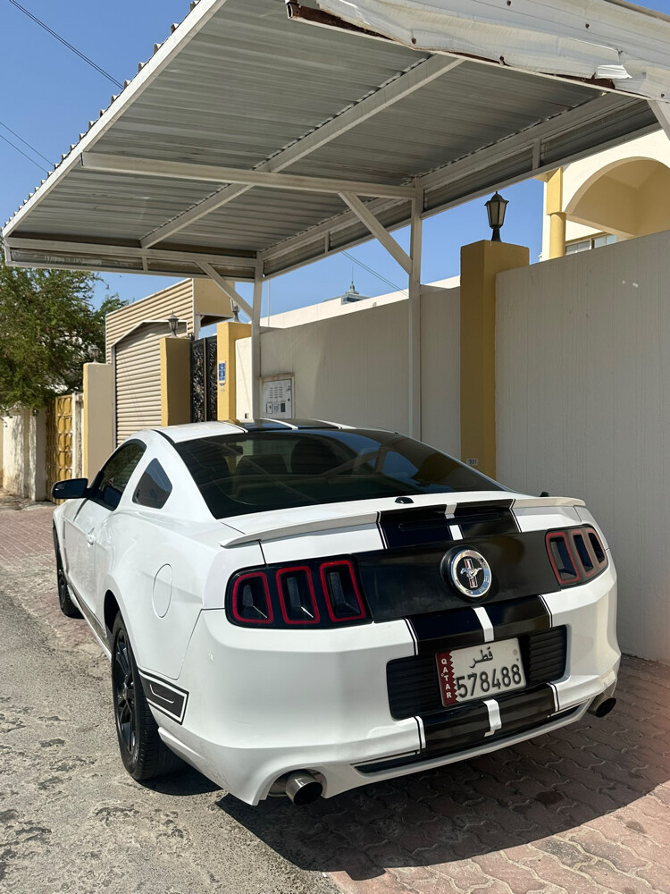 موستنج  جتي بريميوم 2014 - 3