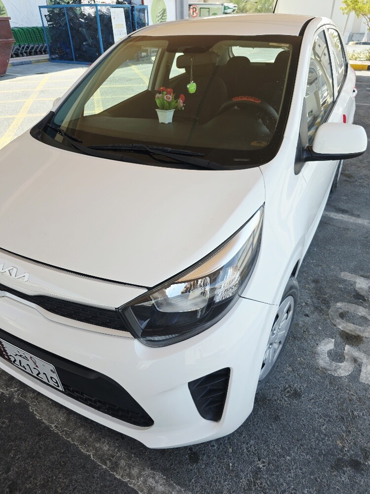 kia picanto - 15
