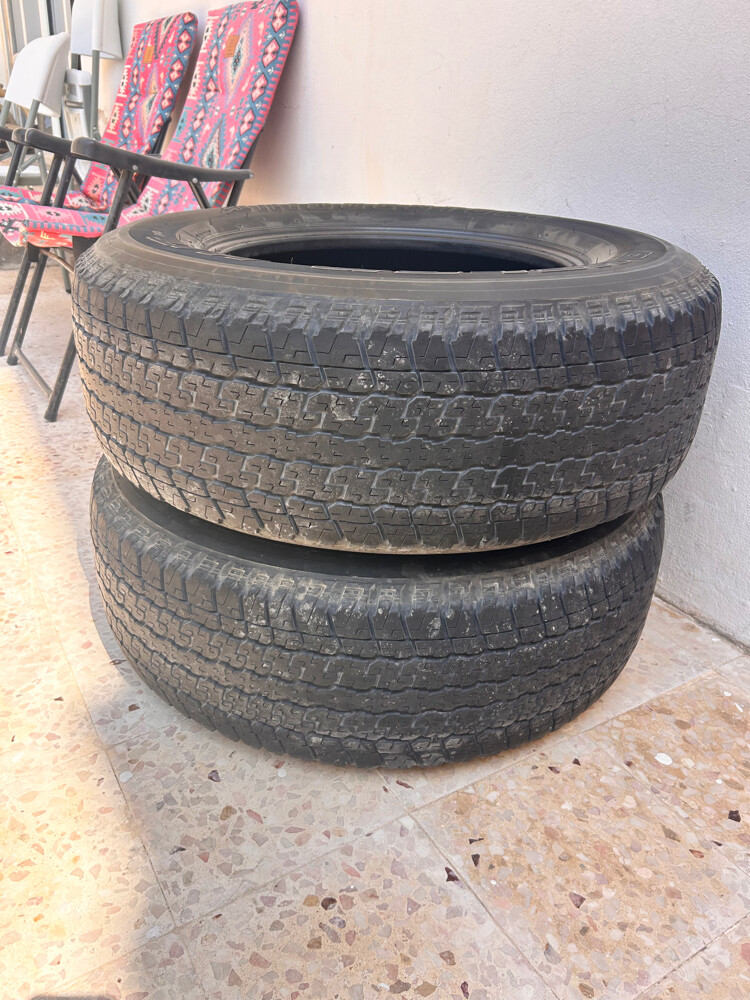 بريدجيستون - 2
