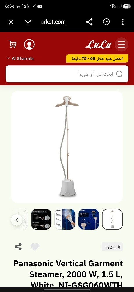 Panasonic Vertical Garment Steamer, - 2