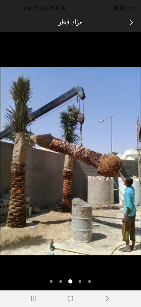 نخيل خدمات - 1