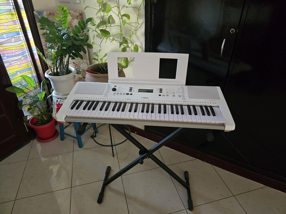 Yamaha EZ-300 - 4