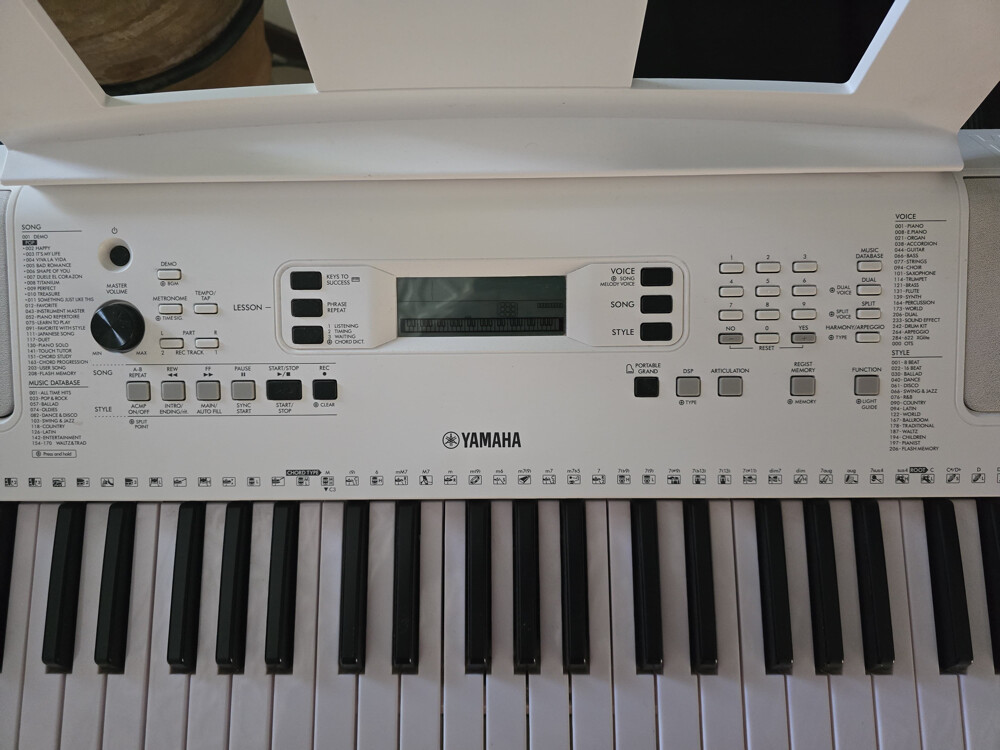 Yamaha EZ-300 - 2
