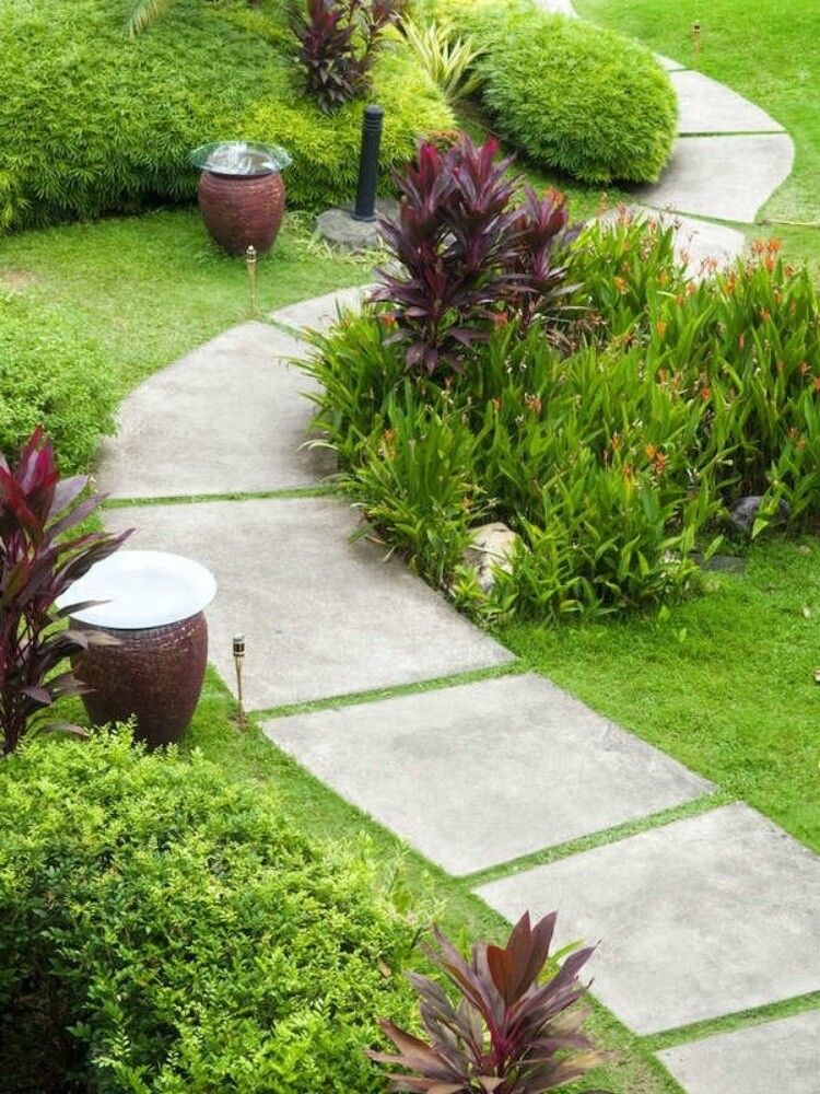 تقني مهندس دكتور الزراعة والري - 1