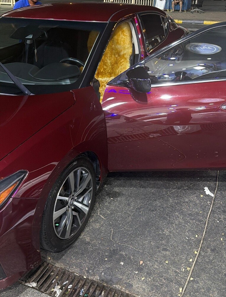 Nissan maxima 2020 model - 14