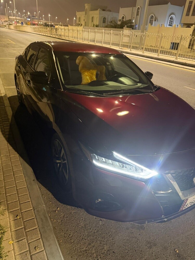 Nissan maxima 2020 model - 3