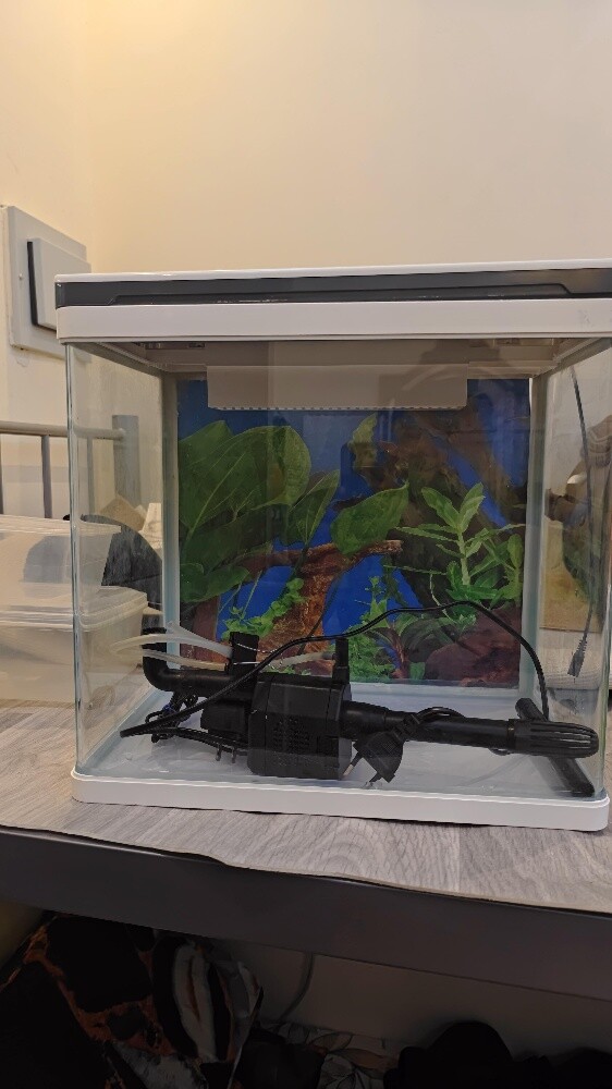 Aquarium Tank - 4