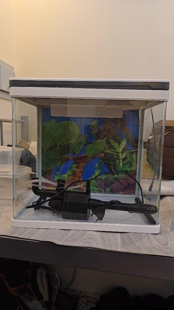 Aquarium Tank - 5