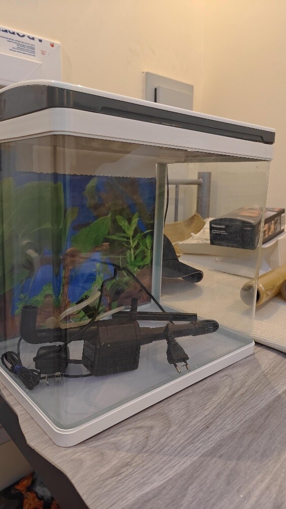 Aquarium Tank - 2
