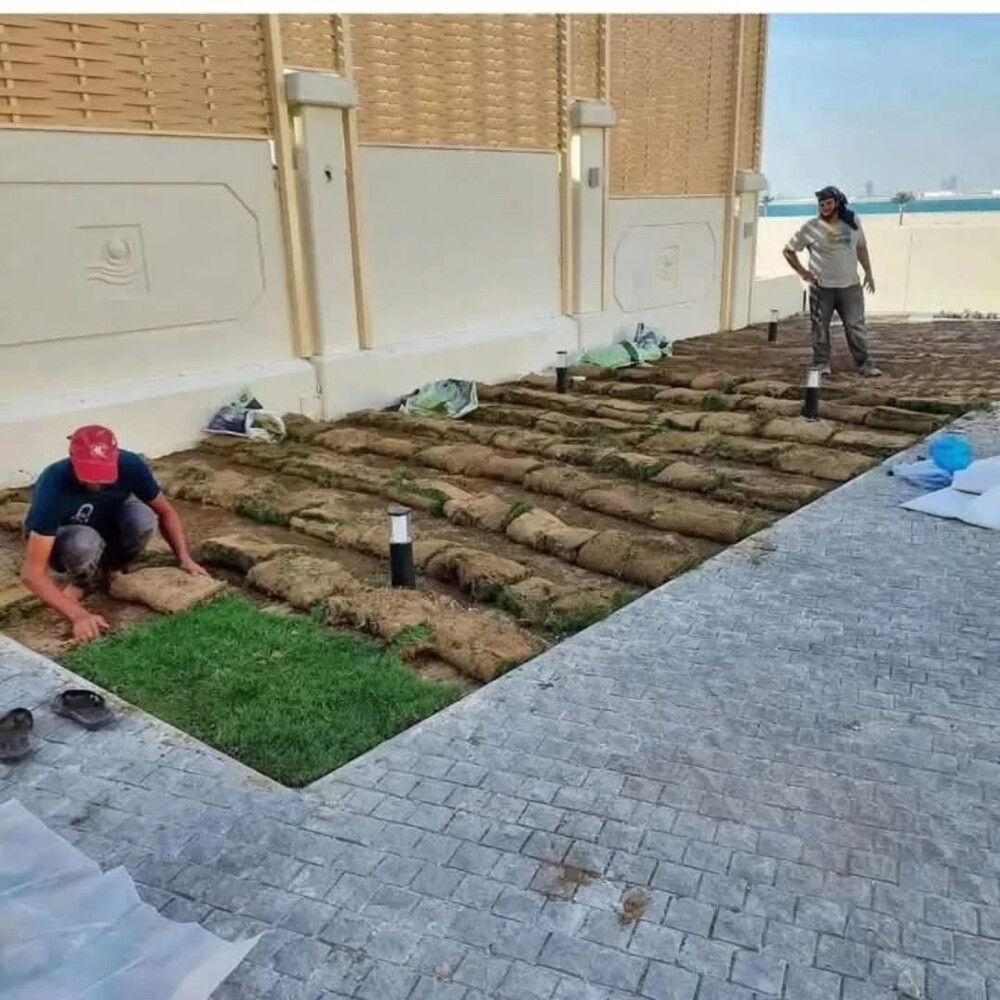 gardening  - 7