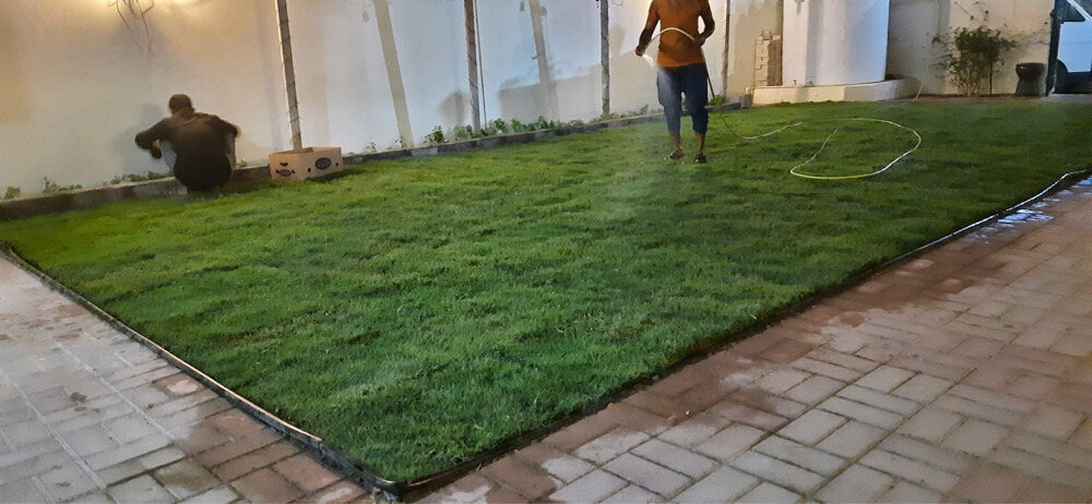 gardening  - 3