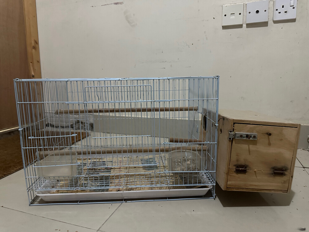 breeder pair with cage - 3