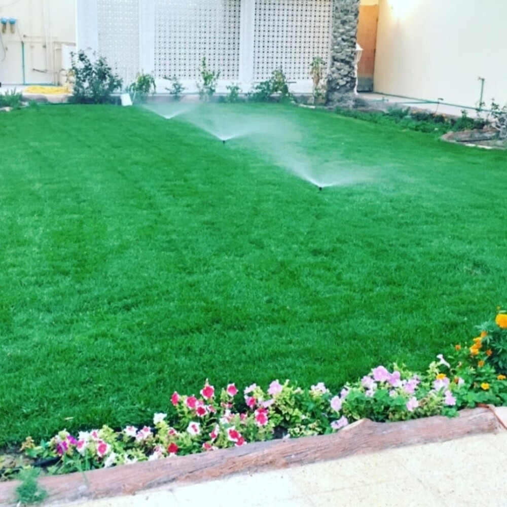 Garden  and new agriculture - 19