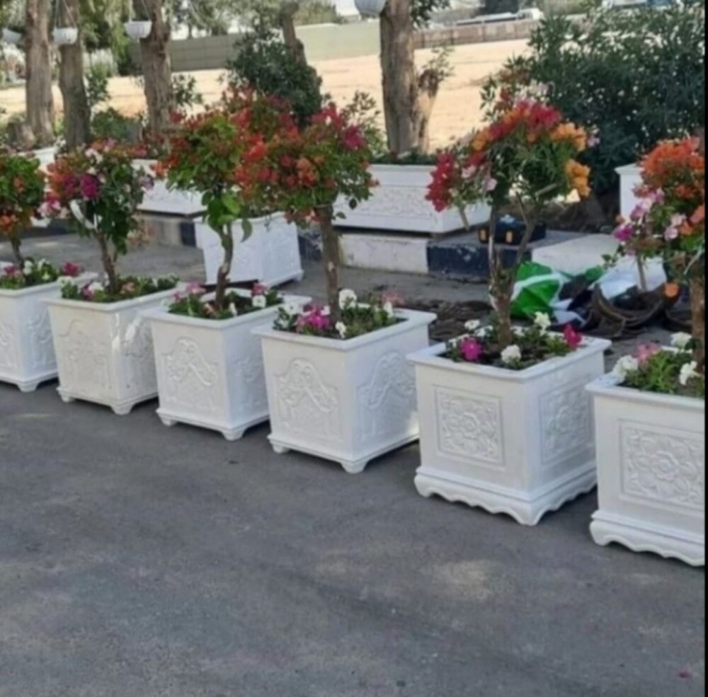 Garden  and new agriculture - 21