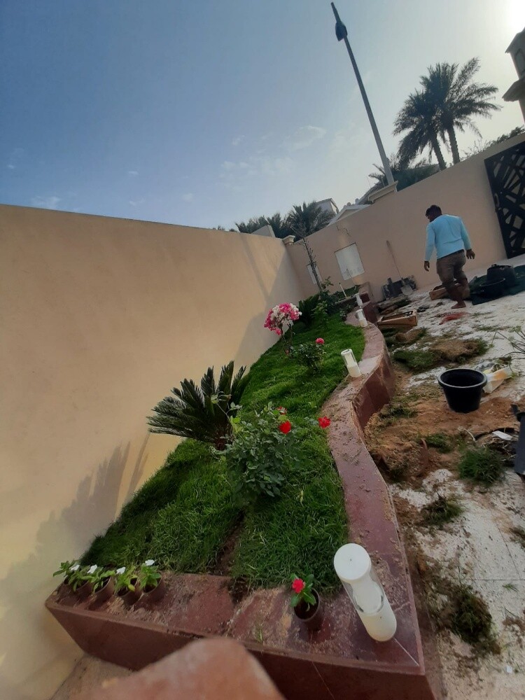 Garden  and new agriculture - 6