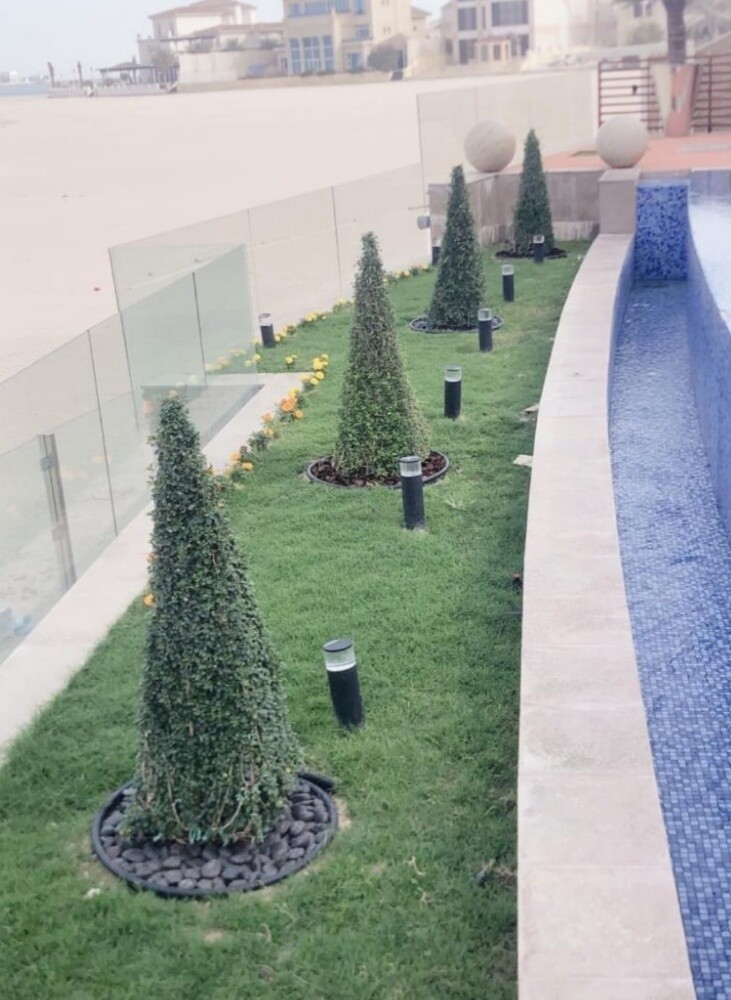 Garden  and new agriculture - 14