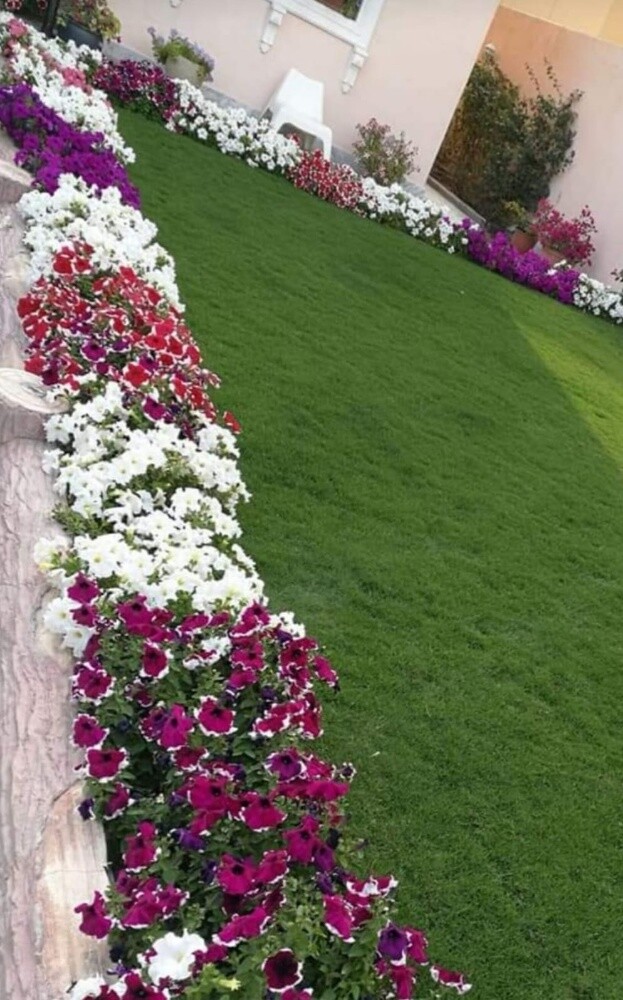 Garden  and new agriculture - 3