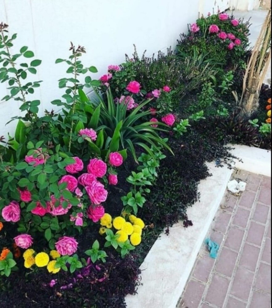 Garden  and new agriculture - 10