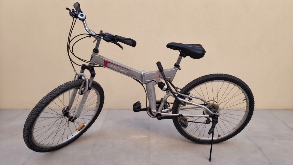 Foldable Fox Bike with Dual Gears - 1