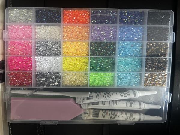 Brand-New Bedazzle Kit and painting - 2