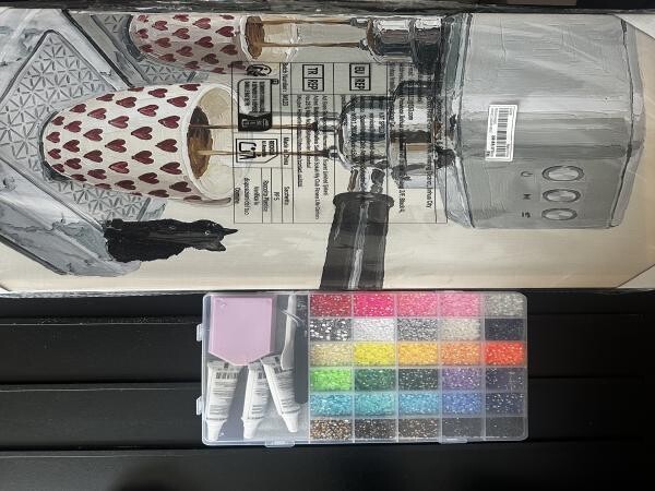 Brand-New Bedazzle Kit and painting - 1