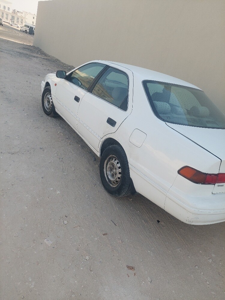 محمد - 3