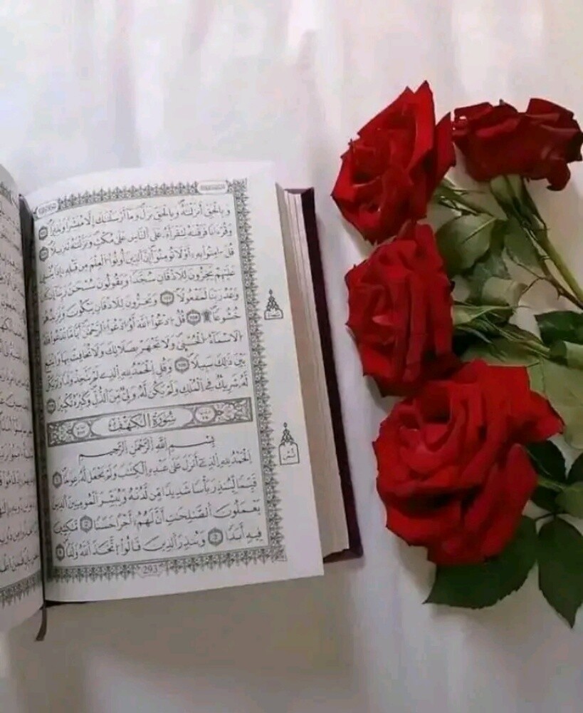أستاذة - 1