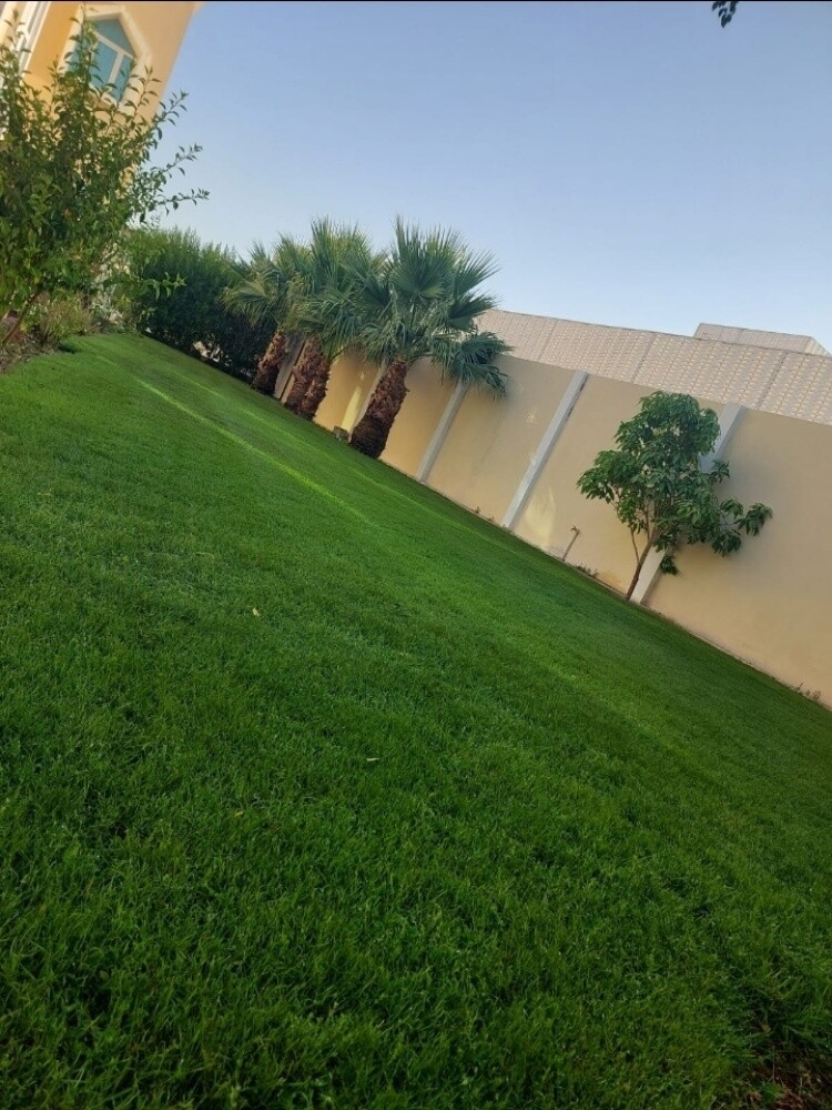 تنظيف تنظيف - 1
