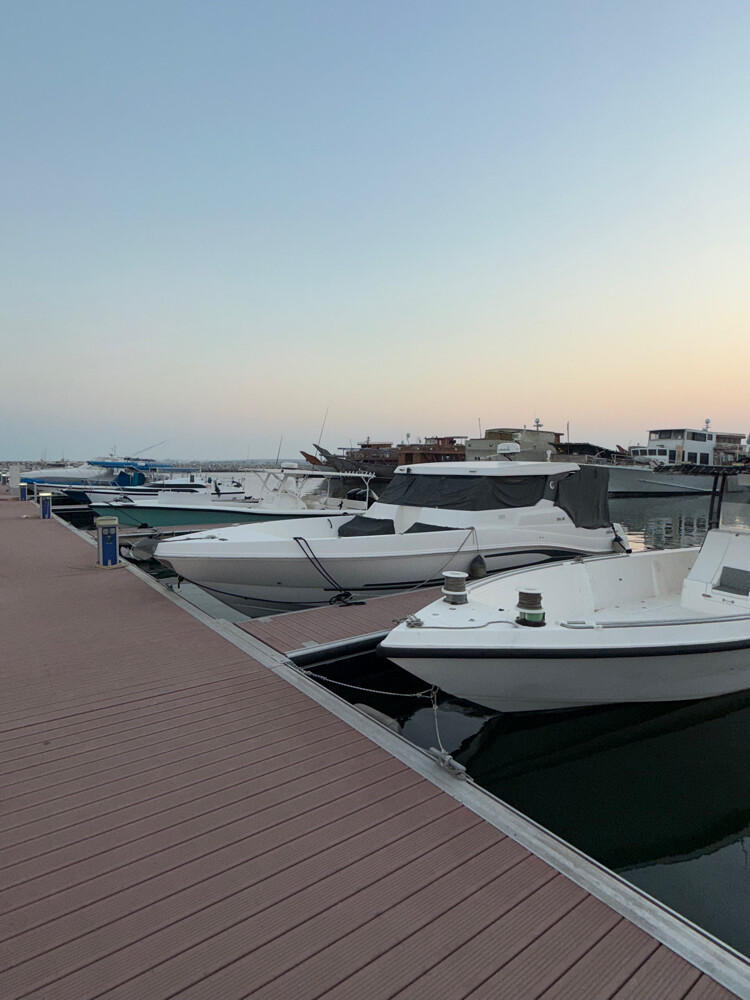 2016 Silver Craft HT 36 - 23