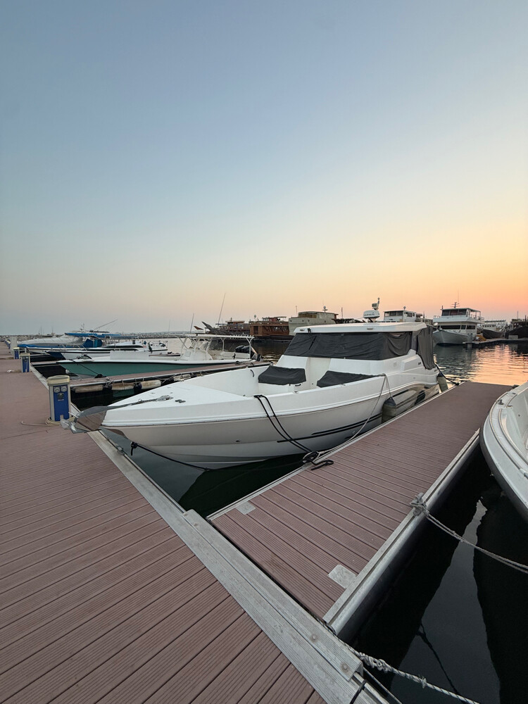 2016 Silver Craft HT 36 - 14
