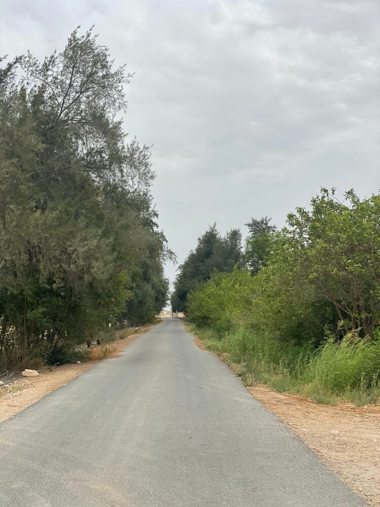 مزرعة كبيرة للبيع في ام لقهاب - 2