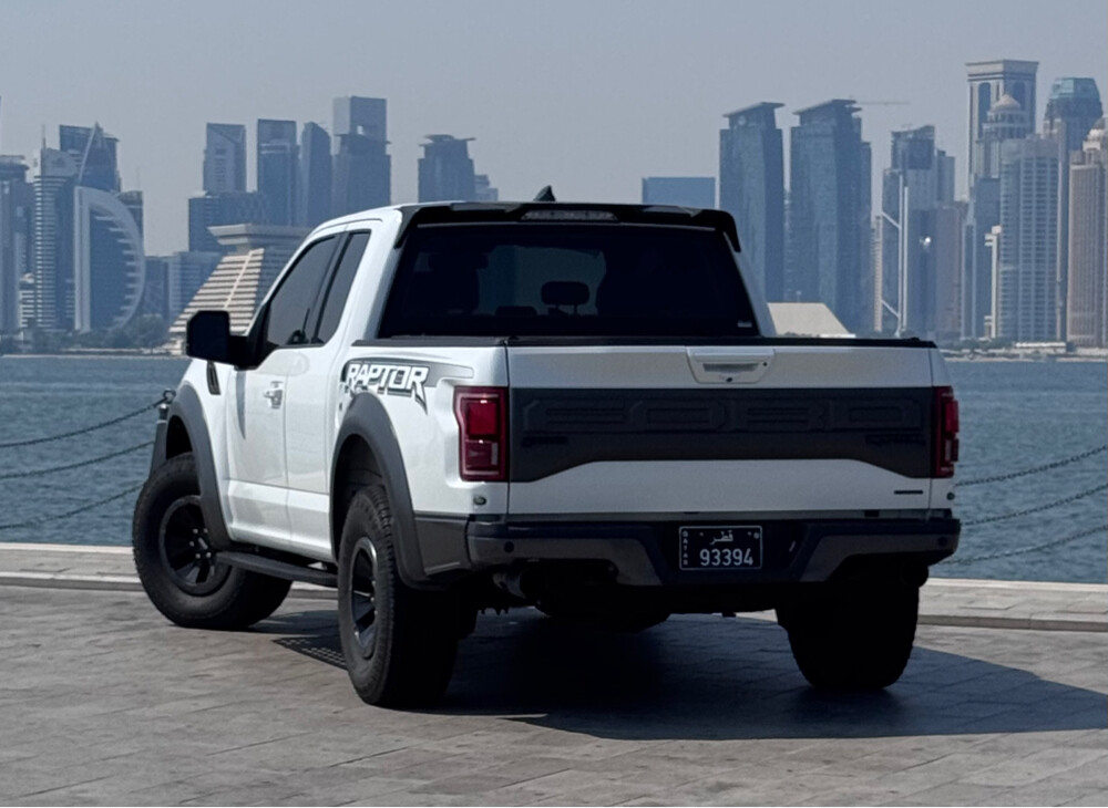 رابتر - 8