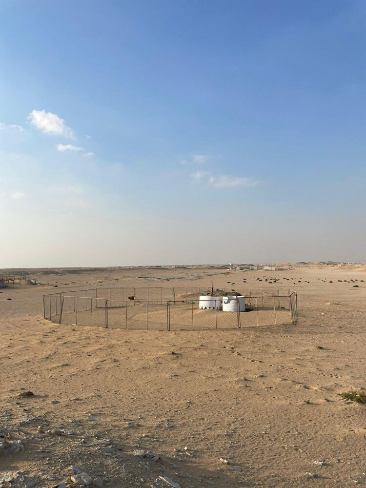 عزبة كاملة - 9