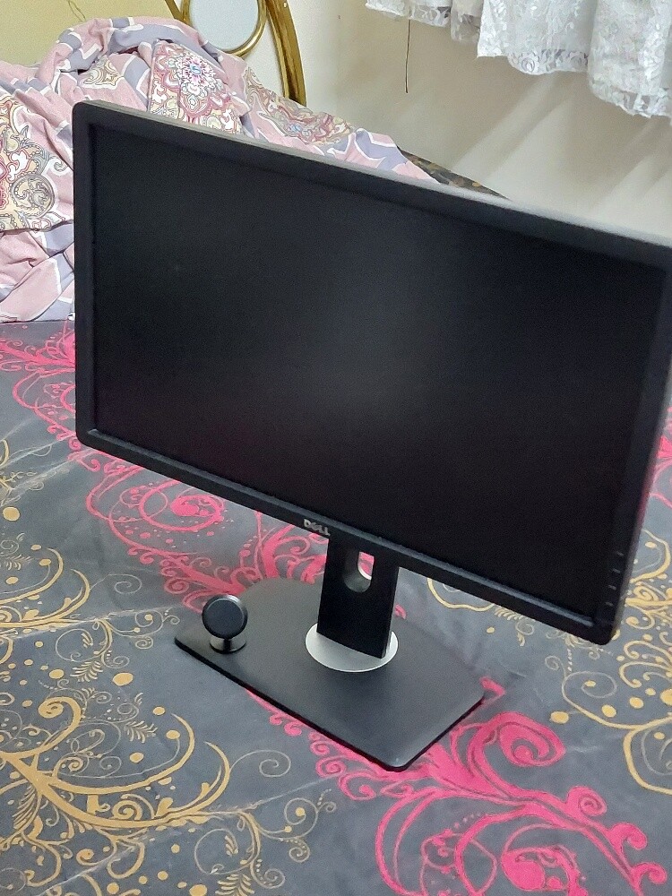 Dell 22" HD Monitor, Moveable Stand - 4