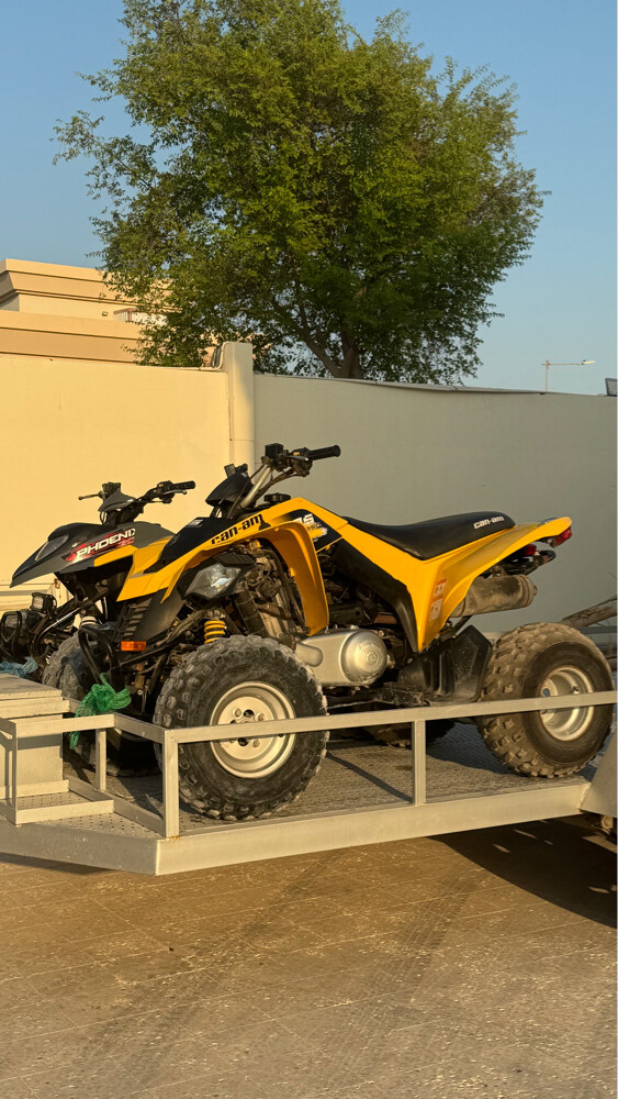 بطبطة - 1