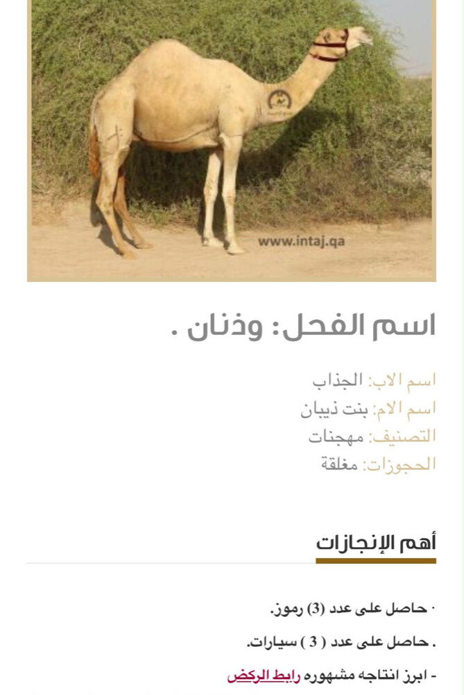مدتي شهر 11 - 2