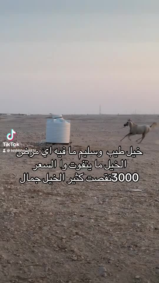 السعر طيب - 1