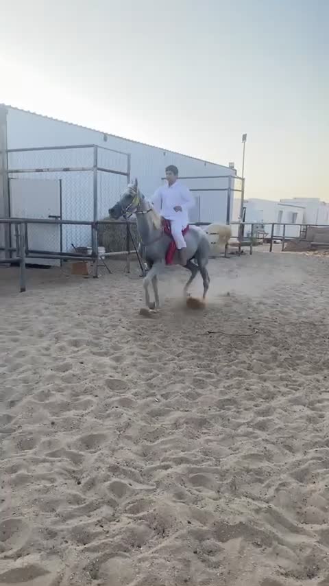 عربي فحل - 1