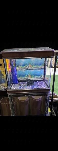 Aquarium Tank with full filtration - 2